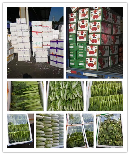 赏金船主·PG(中国游)官方网站