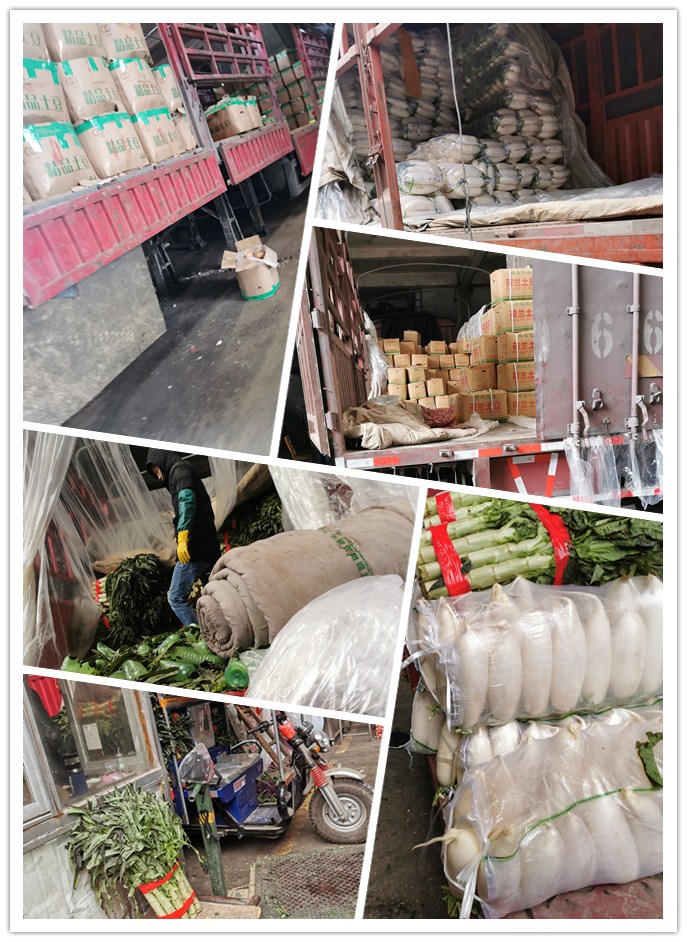 赏金船主·PG(中国游)官方网站