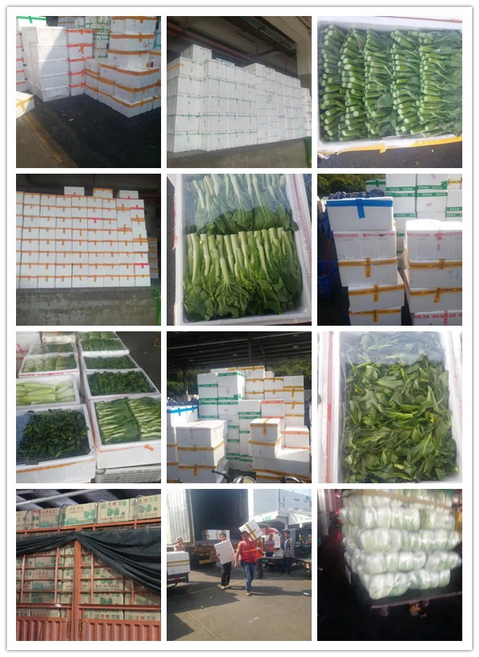 赏金船主·PG(中国游)官方网站