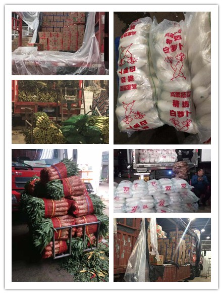 赏金船主·PG(中国游)官方网站