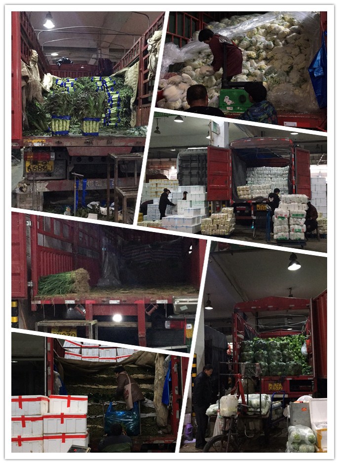 赏金船主·PG(中国游)官方网站