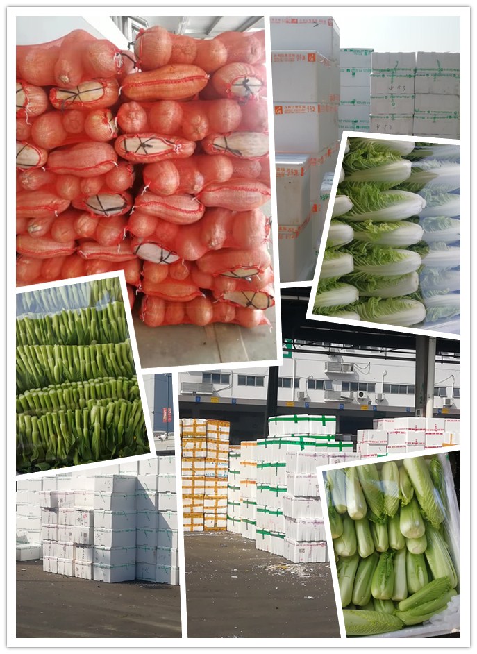 赏金船主·PG(中国游)官方网站