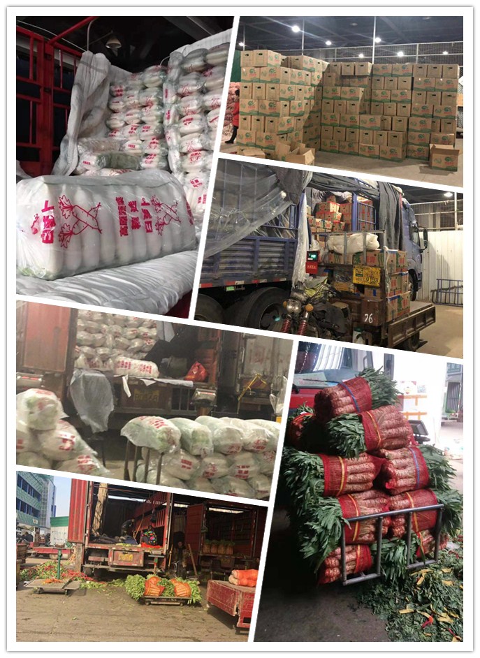 赏金船主·PG(中国游)官方网站