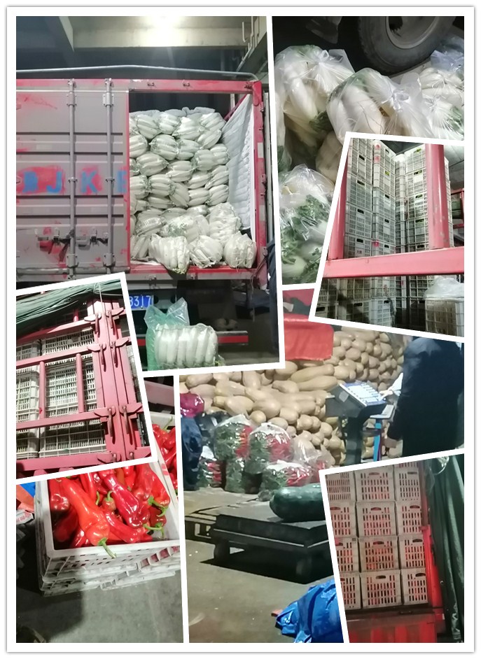 赏金船主·PG(中国游)官方网站