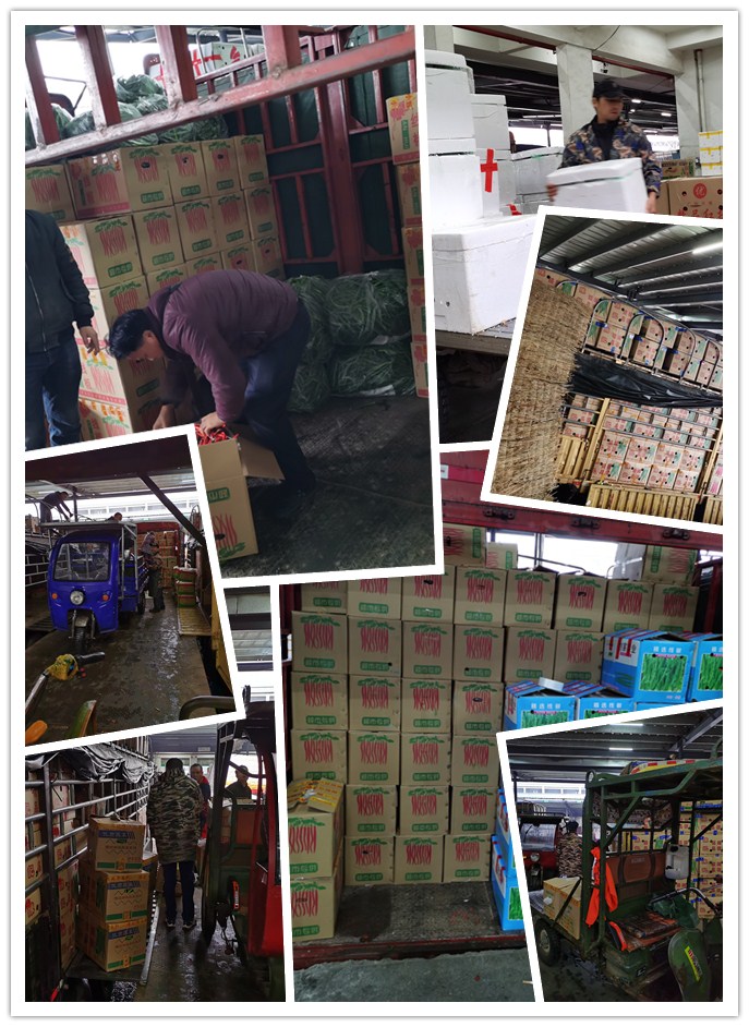 赏金船主·PG(中国游)官方网站