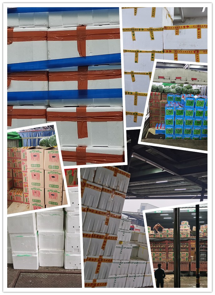 赏金船主·PG(中国游)官方网站