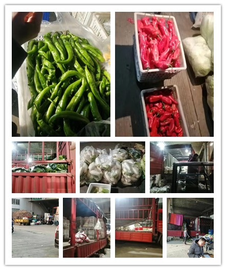 赏金船主·PG(中国游)官方网站