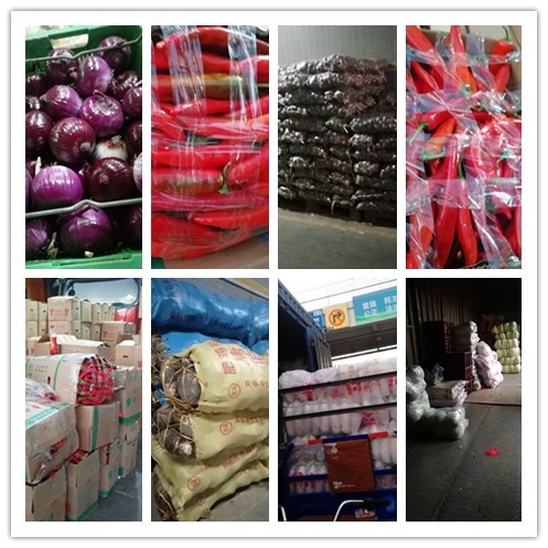 赏金船主·PG(中国游)官方网站