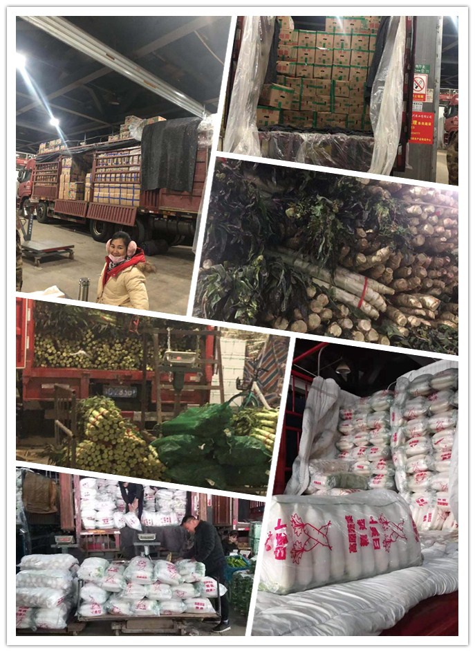 赏金船主·PG(中国游)官方网站