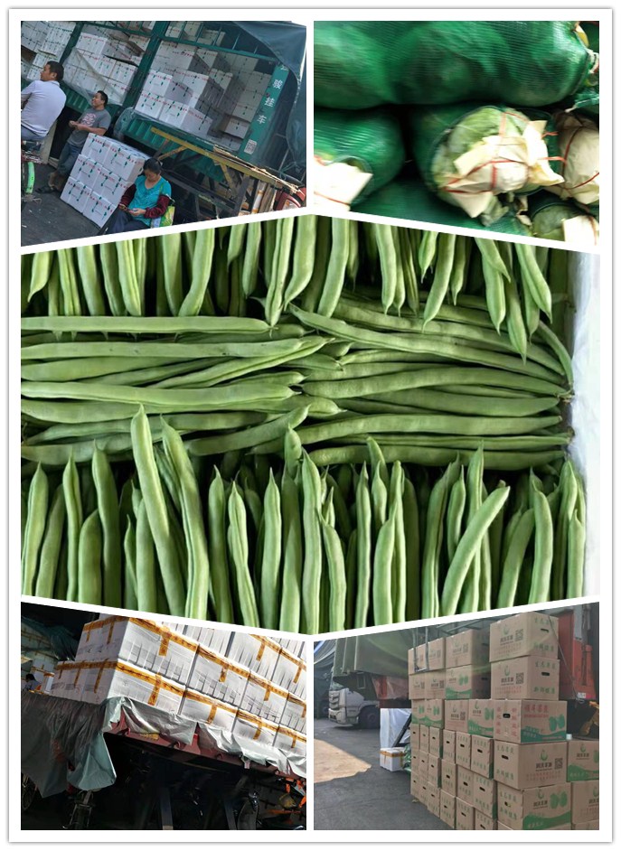 赏金船主·PG(中国游)官方网站