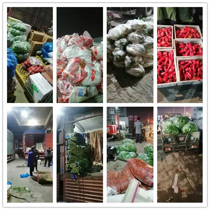 赏金船主·PG(中国游)官方网站