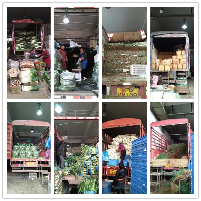 赏金船主·PG(中国游)官方网站