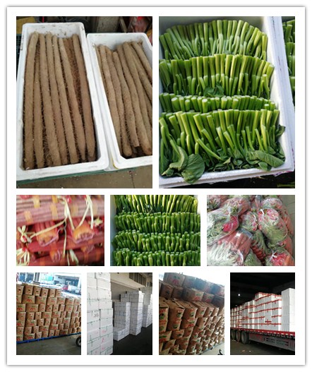 赏金船主·PG(中国游)官方网站