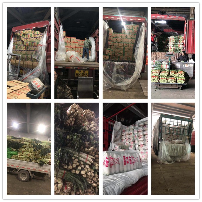 赏金船主·PG(中国游)官方网站