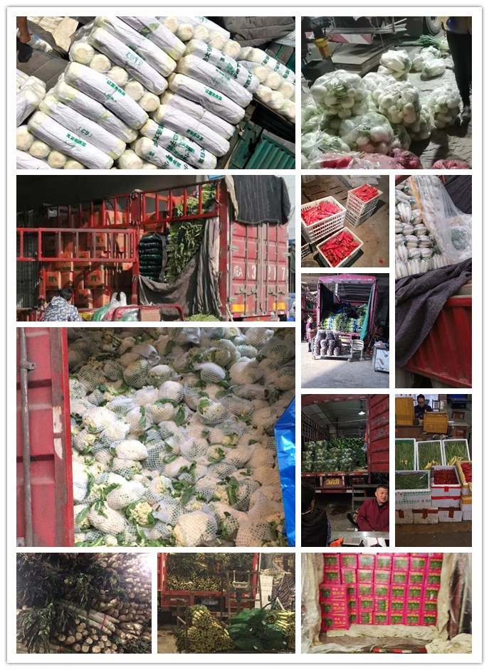 赏金船主·PG(中国游)官方网站