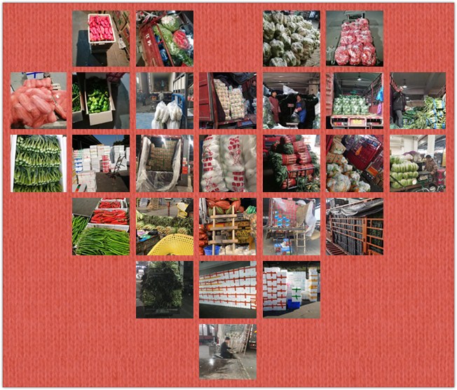 赏金船主·PG(中国游)官方网站