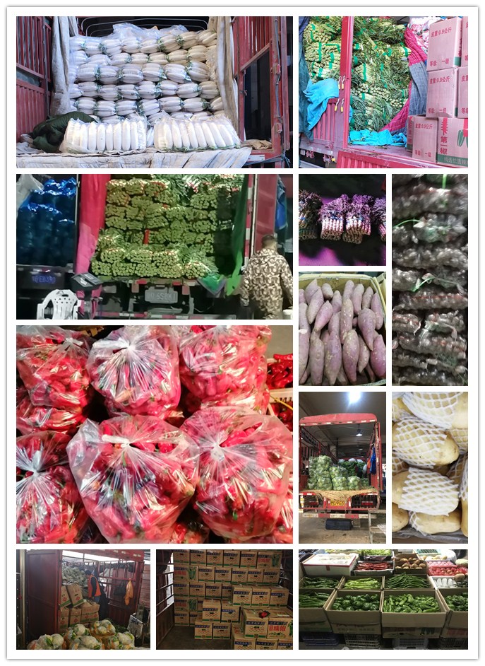 赏金船主·PG(中国游)官方网站