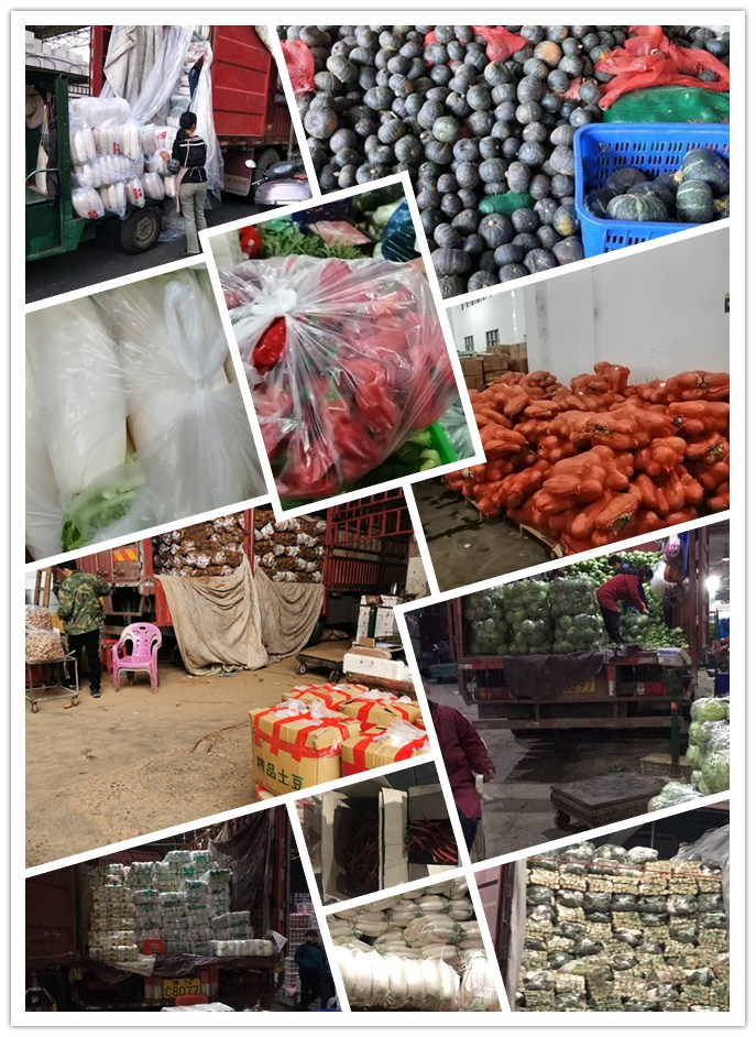 赏金船主·PG(中国游)官方网站