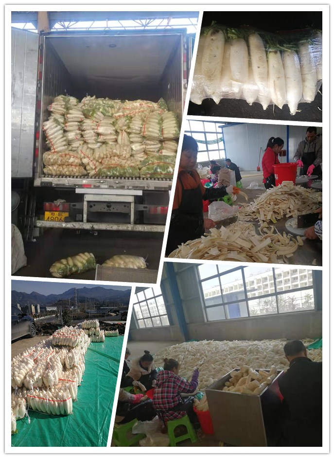 赏金船主·PG(中国游)官方网站