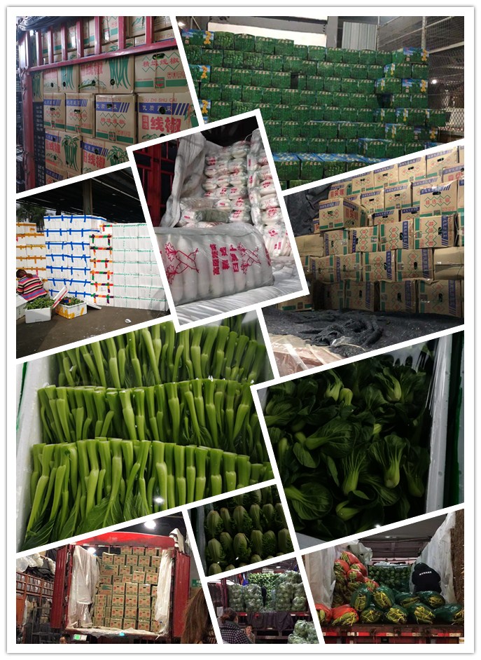 赏金船主·PG(中国游)官方网站