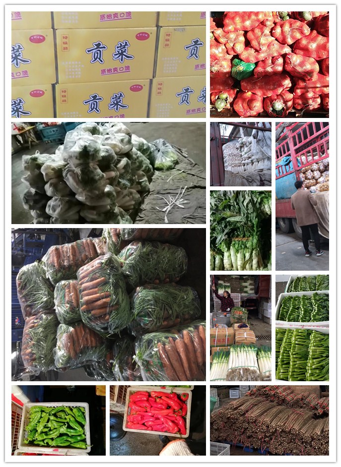 赏金船主·PG(中国游)官方网站