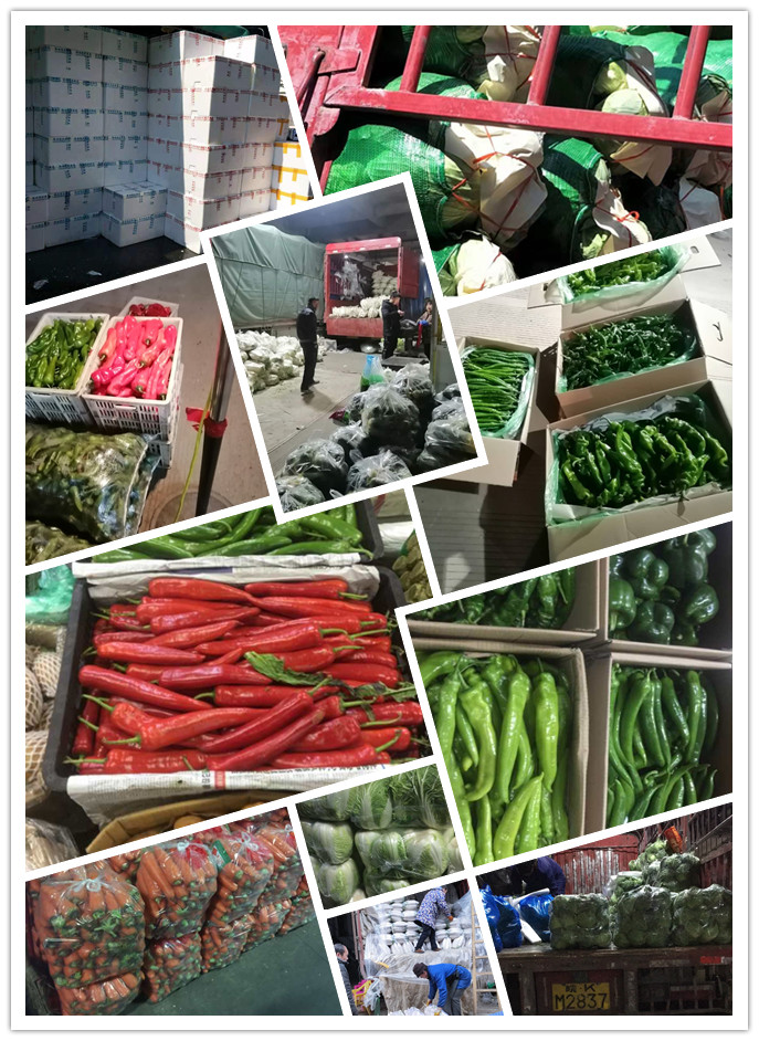 赏金船主·PG(中国游)官方网站