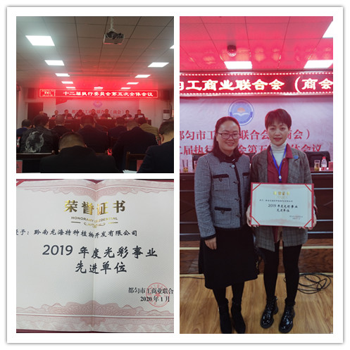 赏金船主·PG(中国游)官方网站