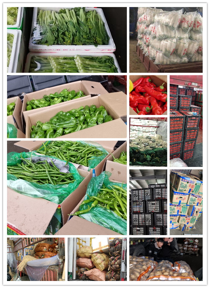 赏金船主·PG(中国游)官方网站