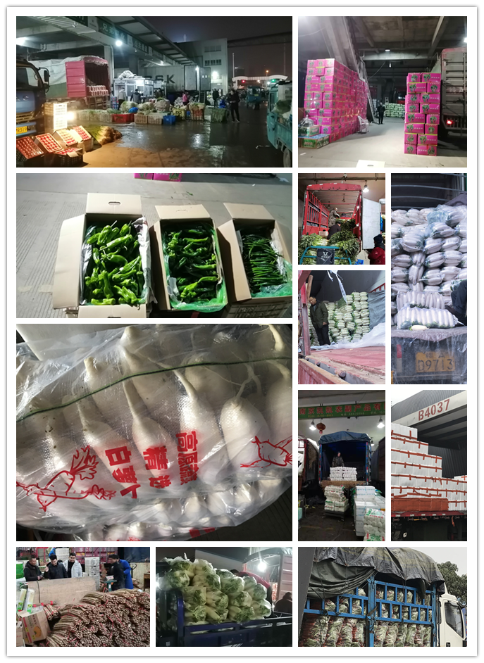 赏金船主·PG(中国游)官方网站