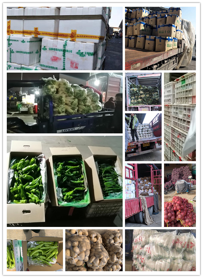 赏金船主·PG(中国游)官方网站