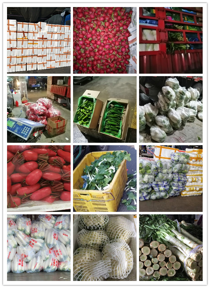 赏金船主·PG(中国游)官方网站