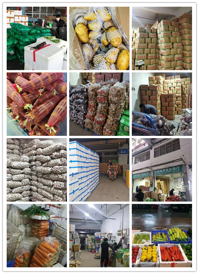 赏金船主·PG(中国游)官方网站