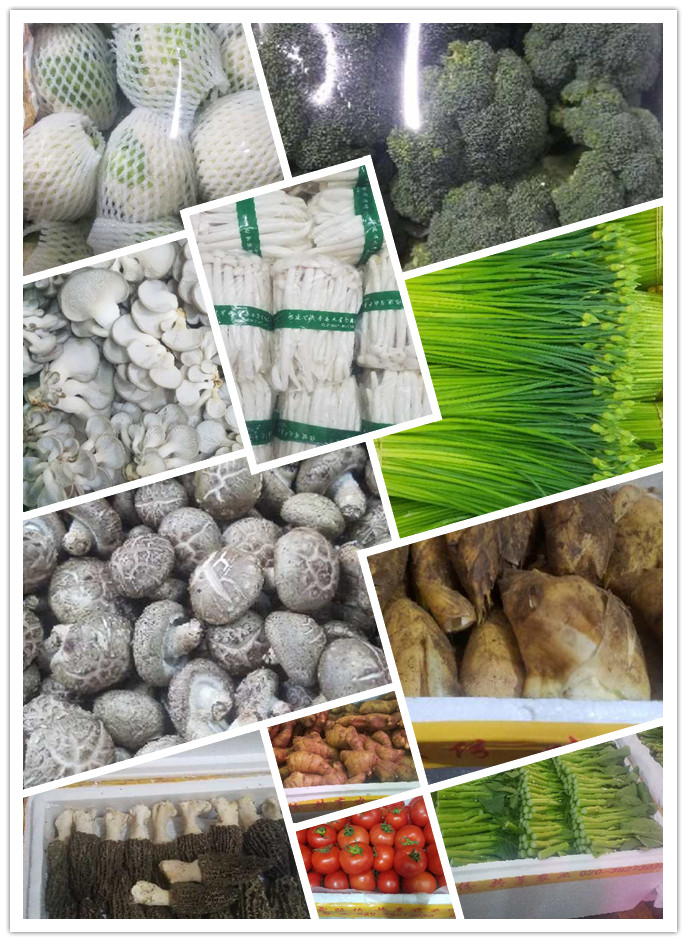 赏金船主·PG(中国游)官方网站