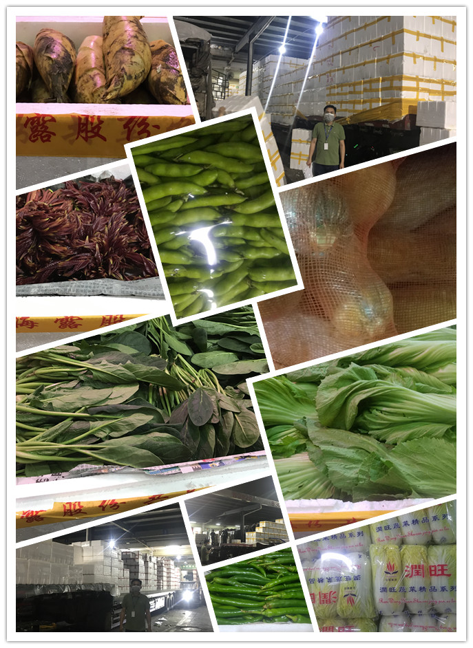 赏金船主·PG(中国游)官方网站