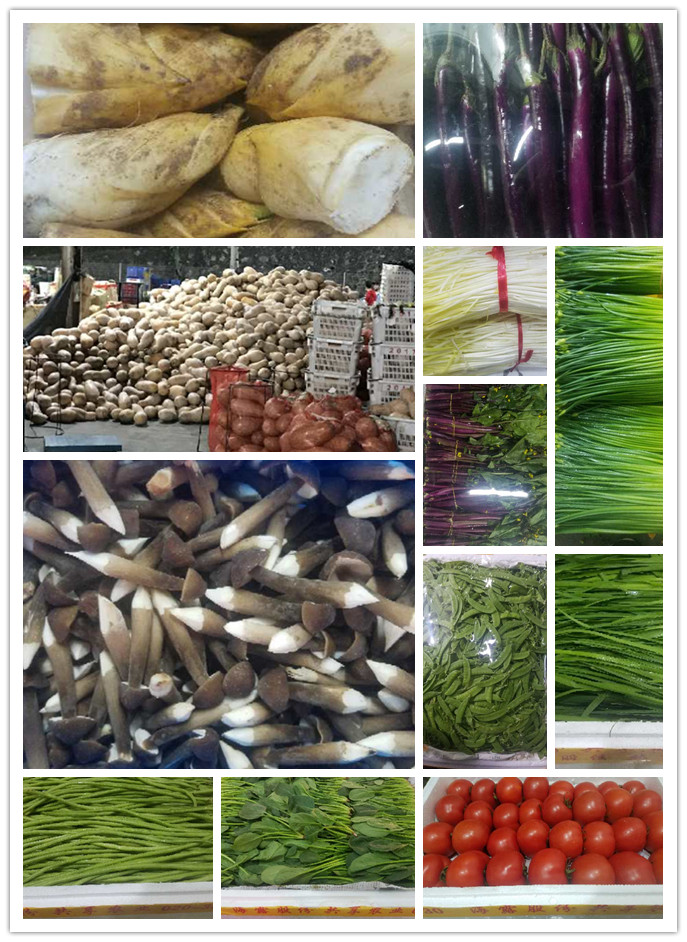 赏金船主·PG(中国游)官方网站