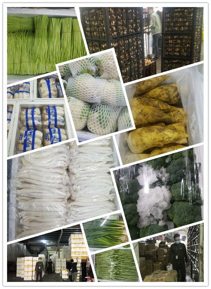 赏金船主·PG(中国游)官方网站