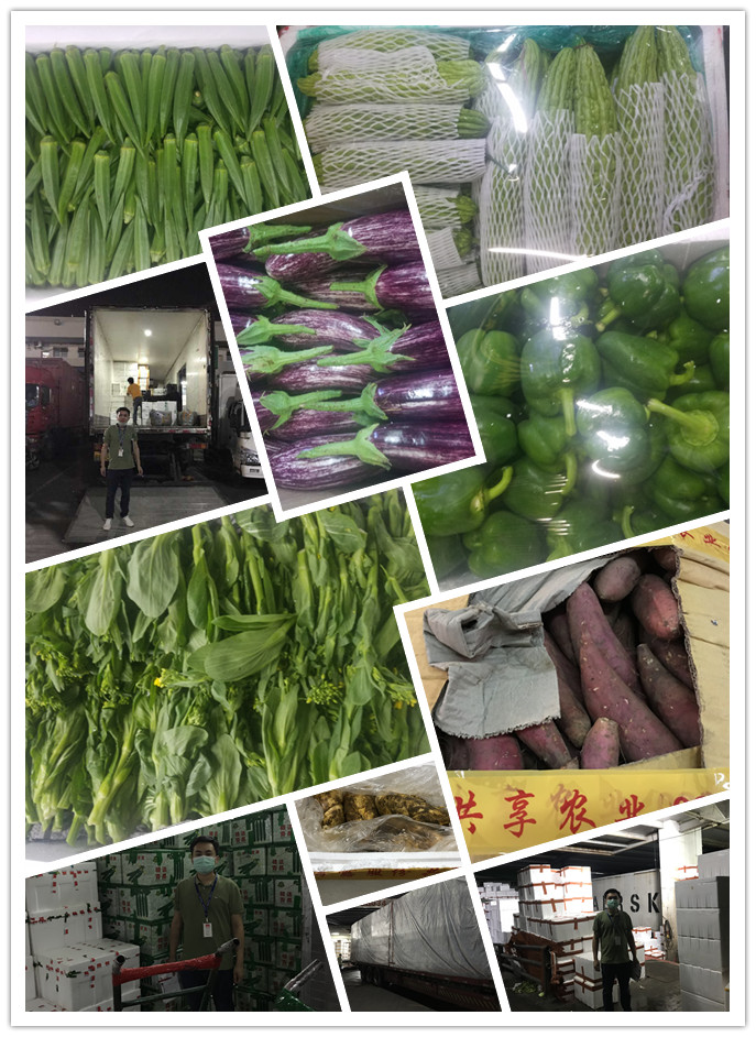 赏金船主·PG(中国游)官方网站