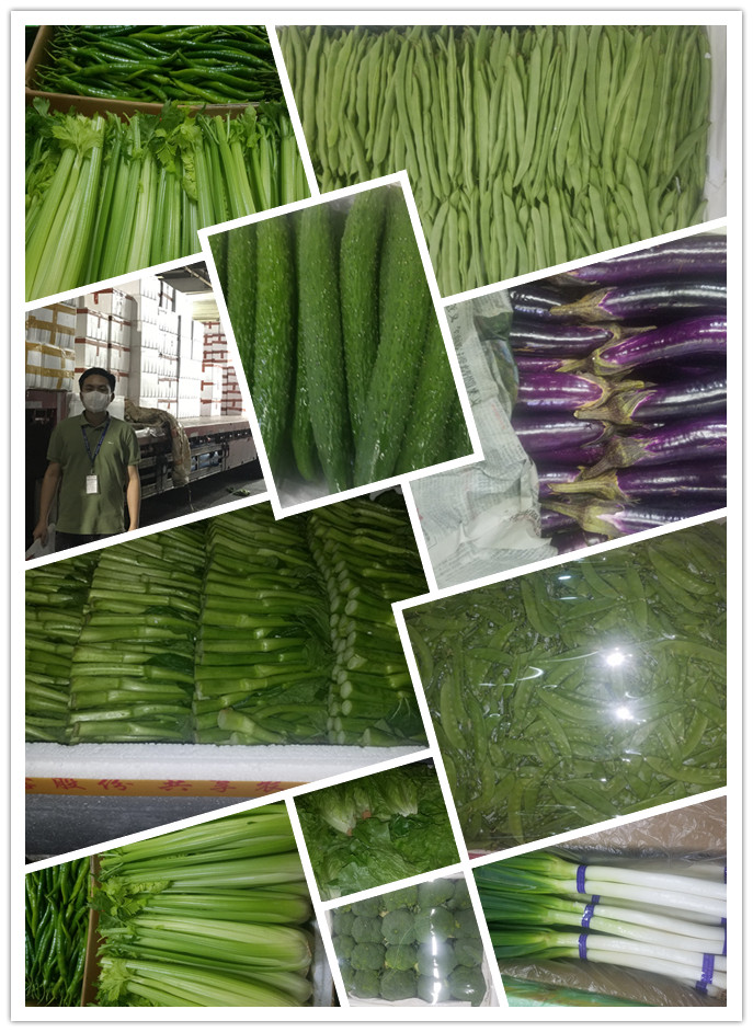 赏金船主·PG(中国游)官方网站