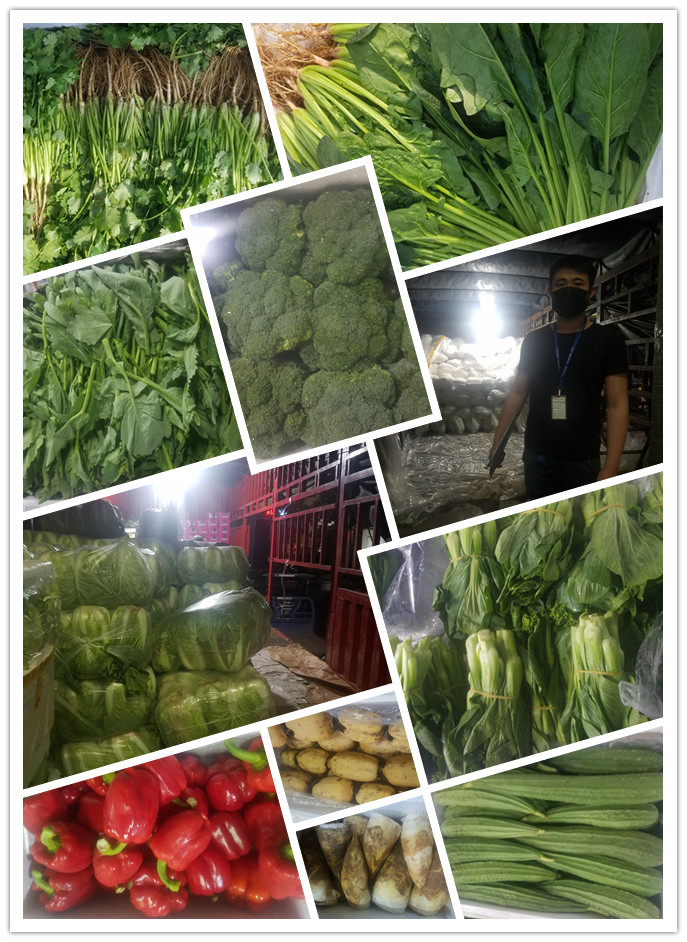 赏金船主·PG(中国游)官方网站