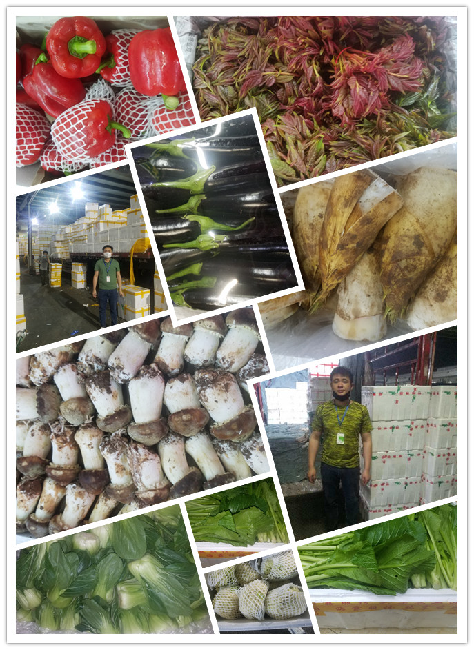 赏金船主·PG(中国游)官方网站