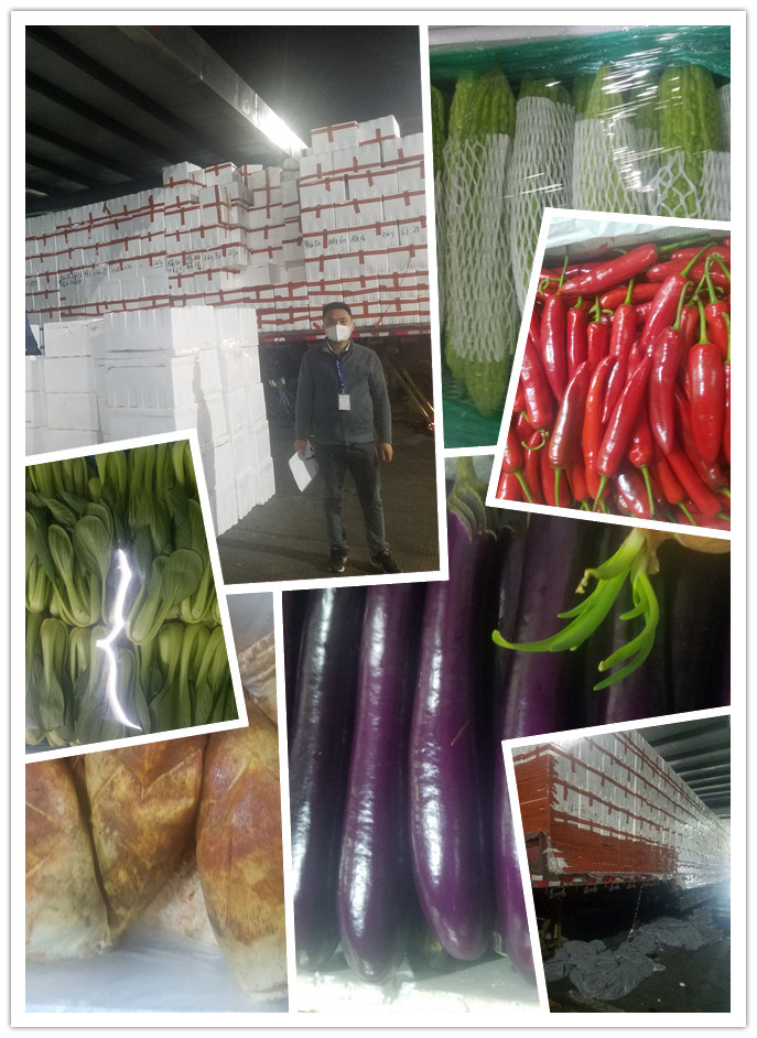 赏金船主·PG(中国游)官方网站