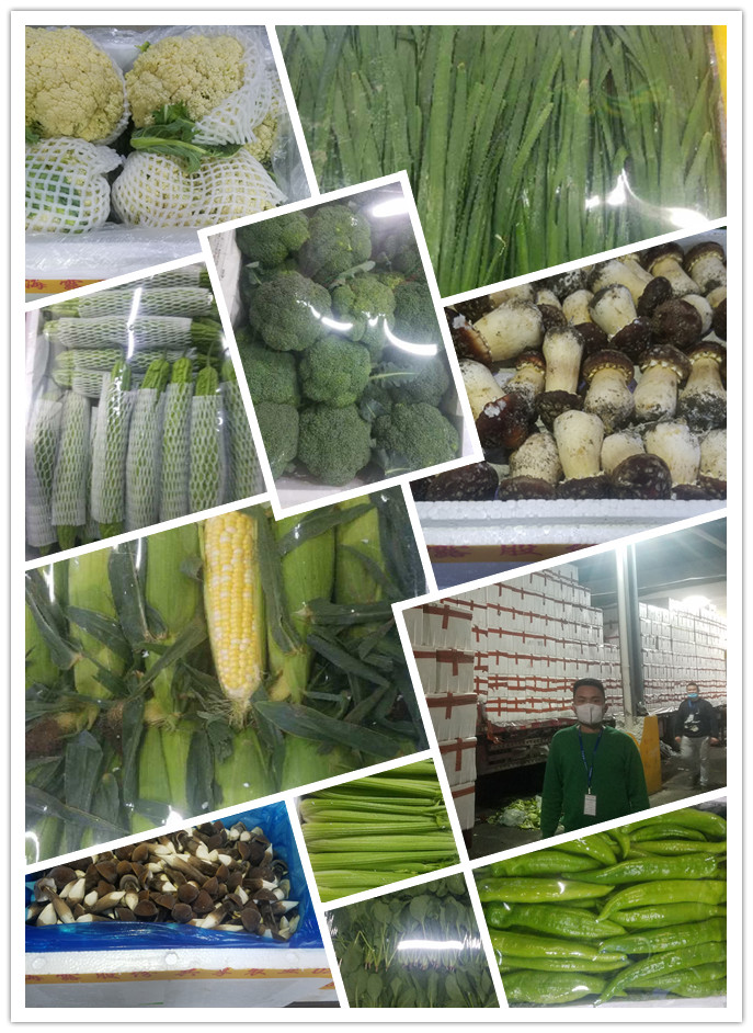 赏金船主·PG(中国游)官方网站