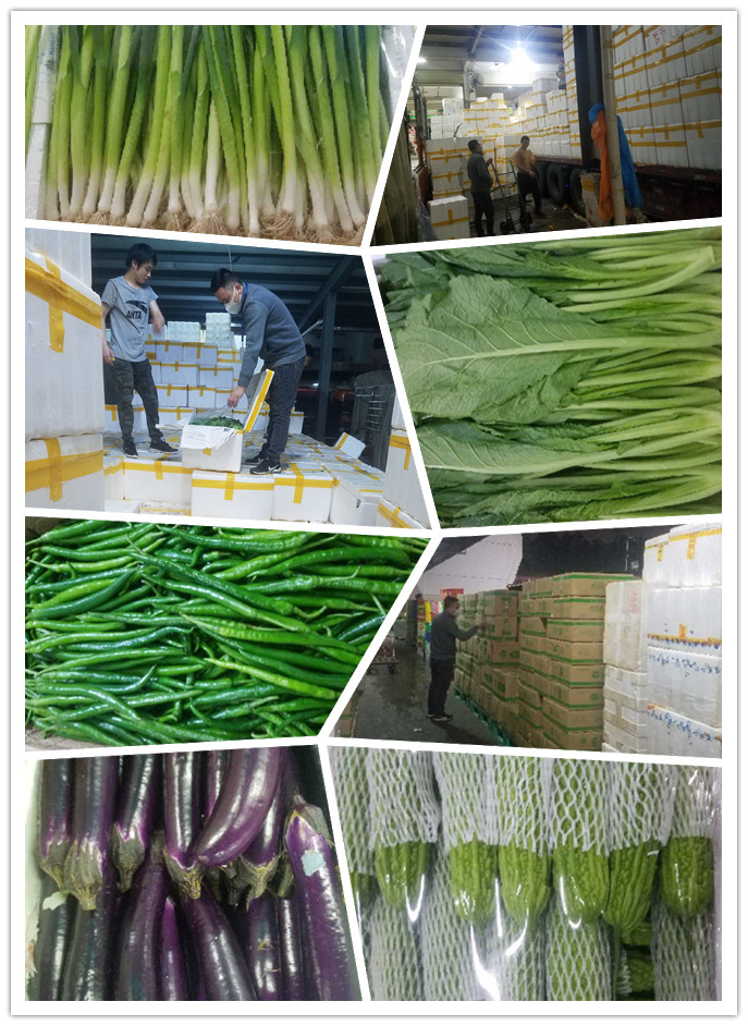 赏金船主·PG(中国游)官方网站