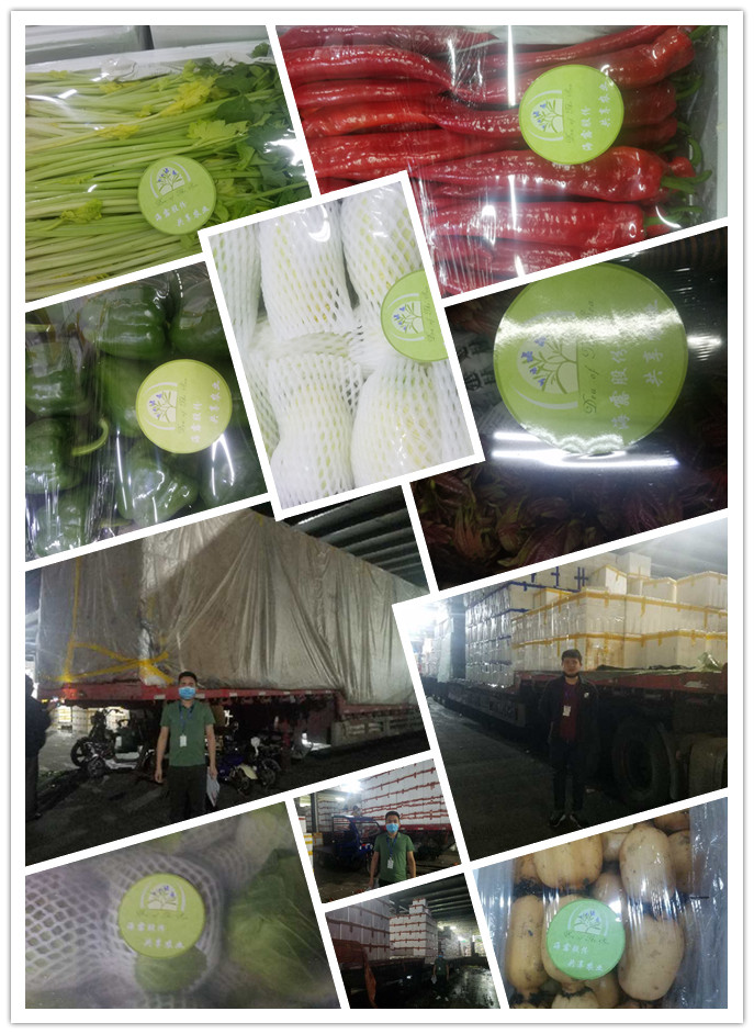 赏金船主·PG(中国游)官方网站