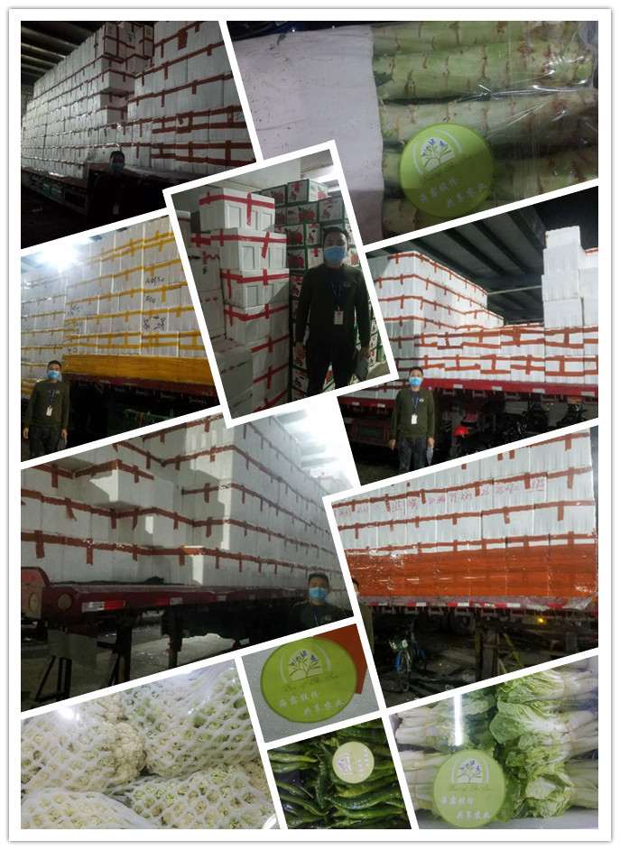 赏金船主·PG(中国游)官方网站