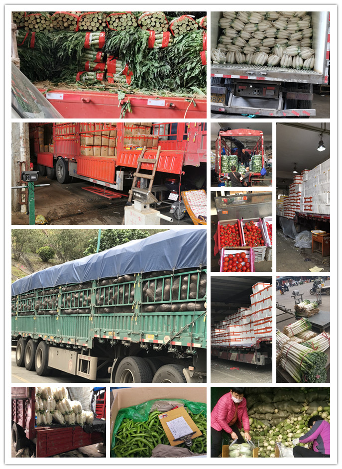 赏金船主·PG(中国游)官方网站