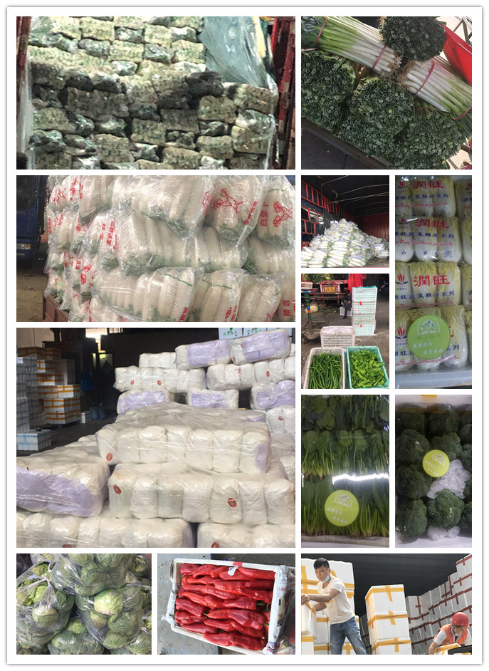 赏金船主·PG(中国游)官方网站