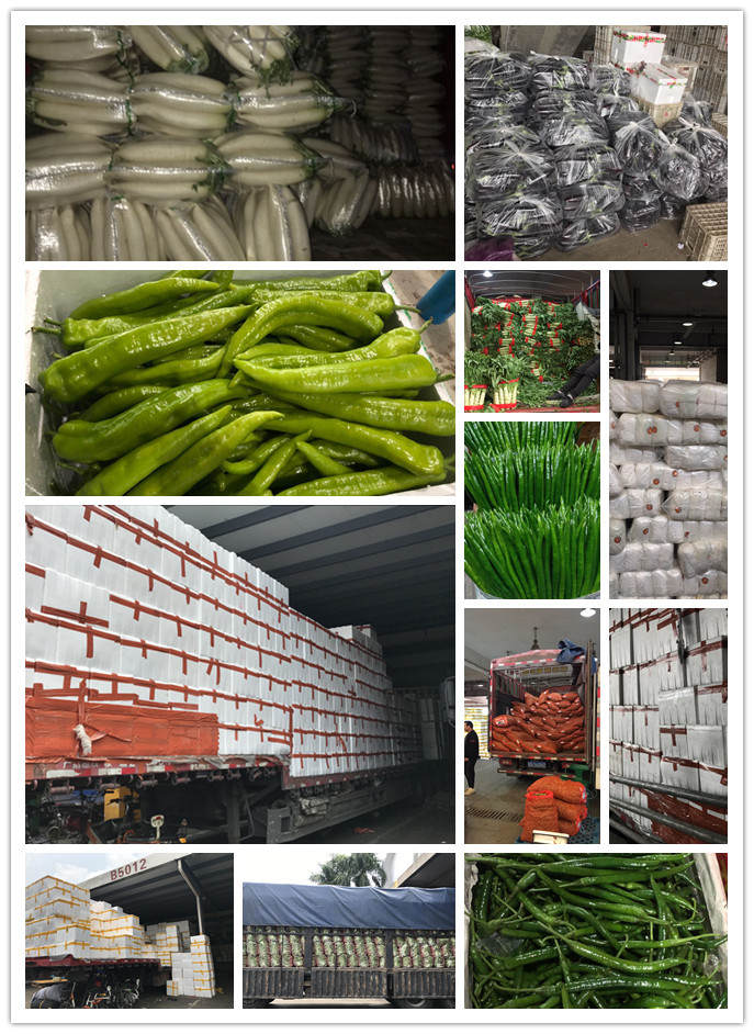 赏金船主·PG(中国游)官方网站