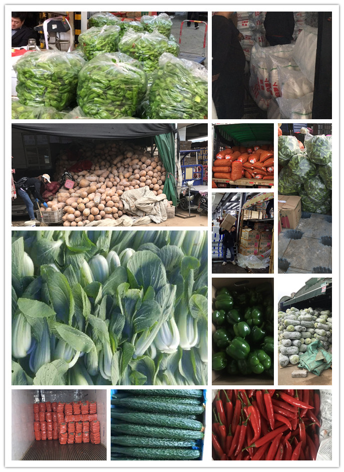 赏金船主·PG(中国游)官方网站