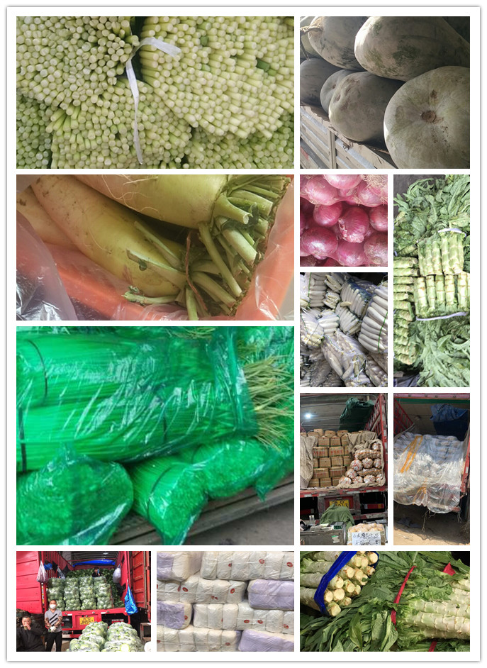 赏金船主·PG(中国游)官方网站